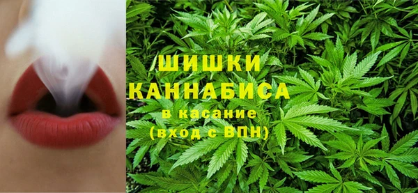 мдпв Гусиноозёрск