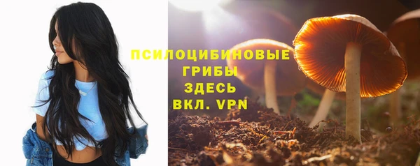 герыч Гусь-Хрустальный