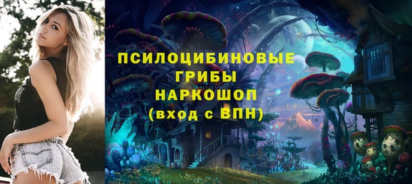 герыч Гусь-Хрустальный
