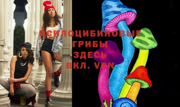 герыч Гусь-Хрустальный