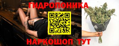 СК Лесосибирск