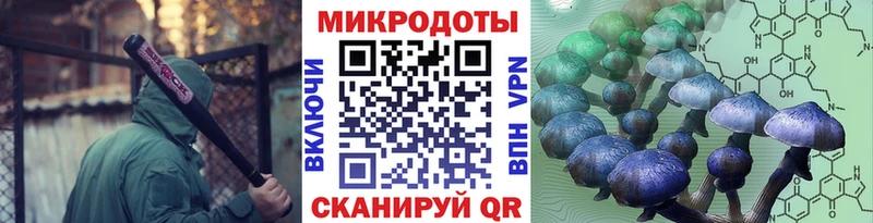 Псилоцибиновые грибы Psilocybine cubensis  Гуково 